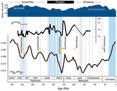 The Capitanian Minimum: A Unique Sr Isotope Beacon of the Latest Paleozoic Seawater